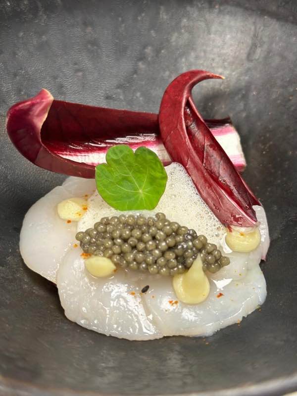 Chef Chef Il Bianco